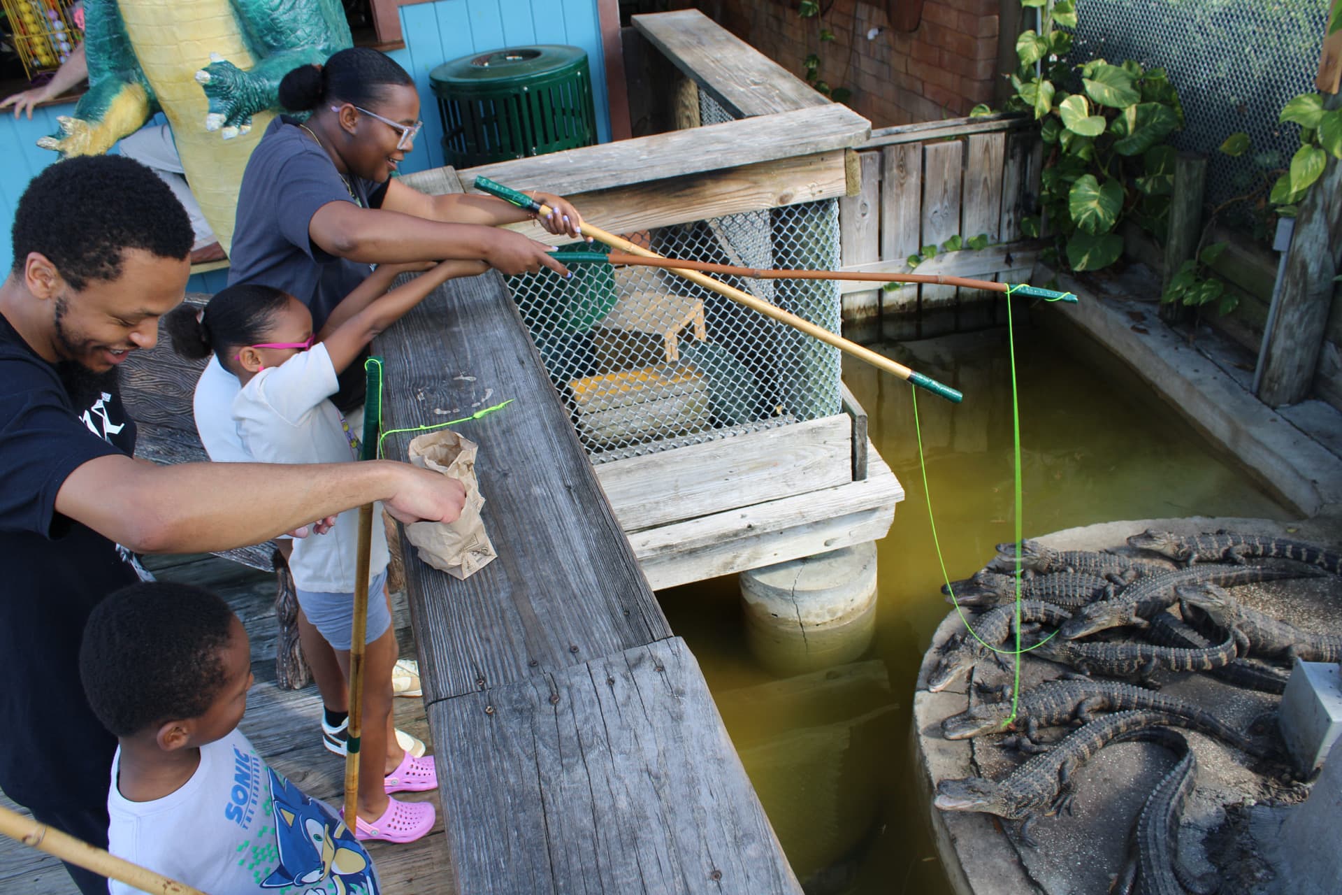Visitors lowering feeding lines